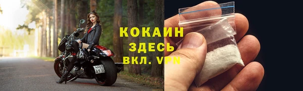 дмт Козельск