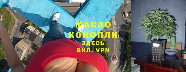 дмт Козельск