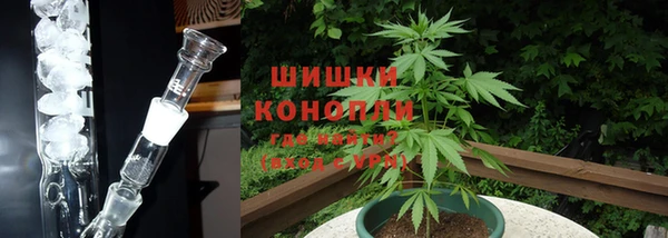 ПСИЛОЦИБИНОВЫЕ ГРИБЫ Кодинск